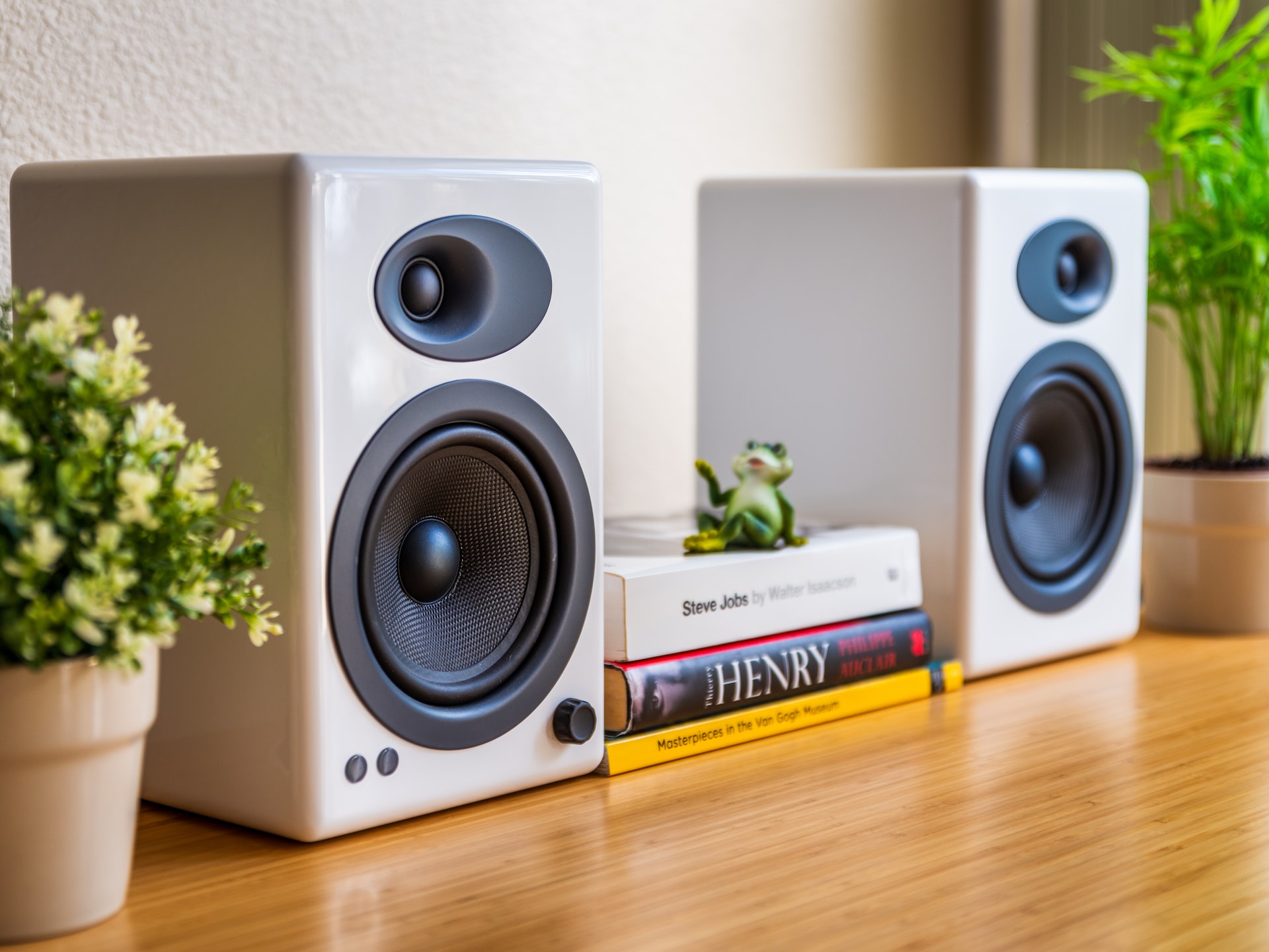 Maximize Your Living Experience with Whole-House Audio